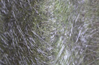 Munderfield Stocks fibreglass roof work