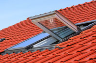 Munderfield Stocks roof window